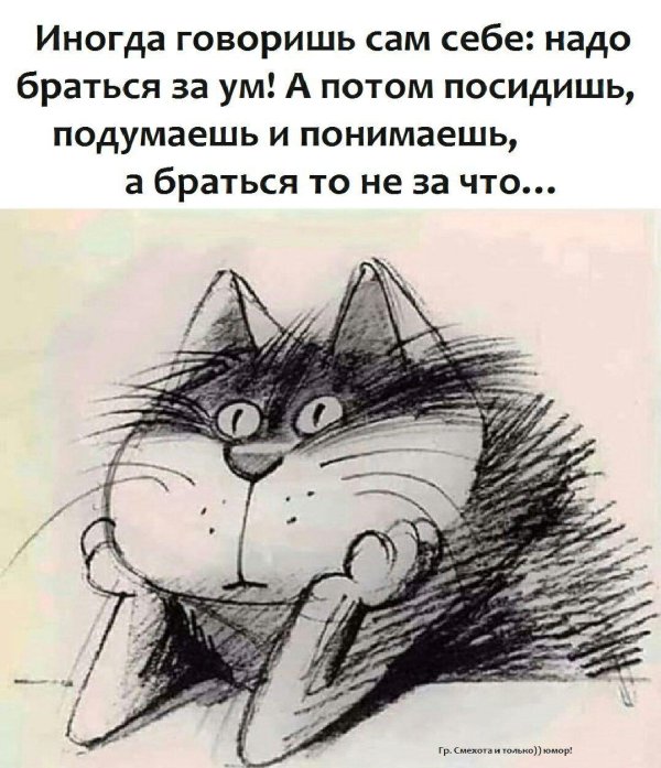 веселые высказывания