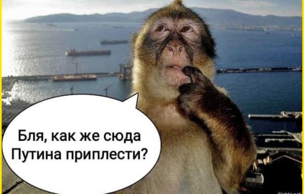 как бы сюда путина приплести