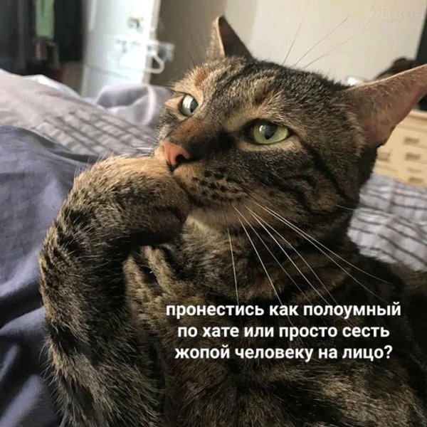 боюсь представить