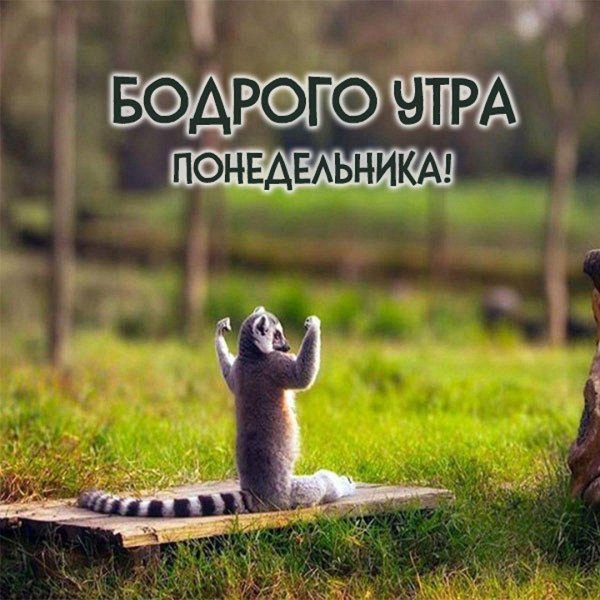 Всем утра