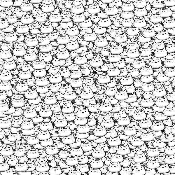 раскраски котики милые много