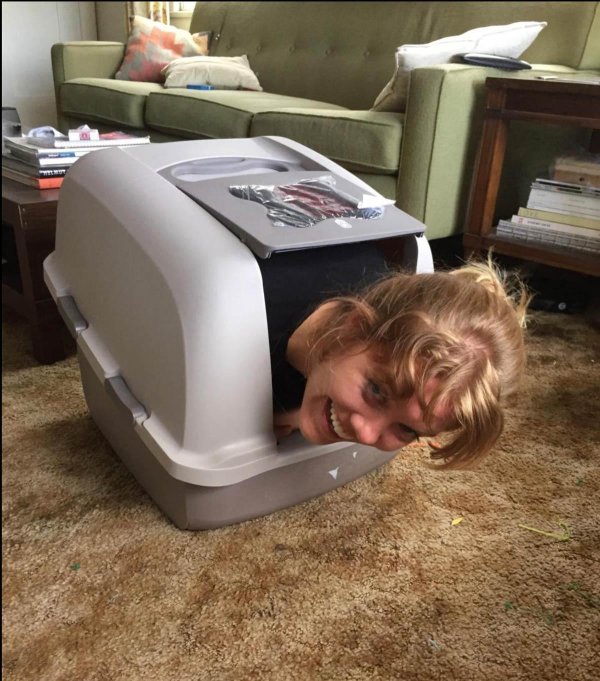 кошачий туалет