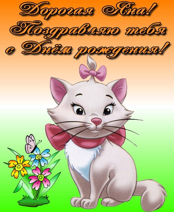 кошечка мари