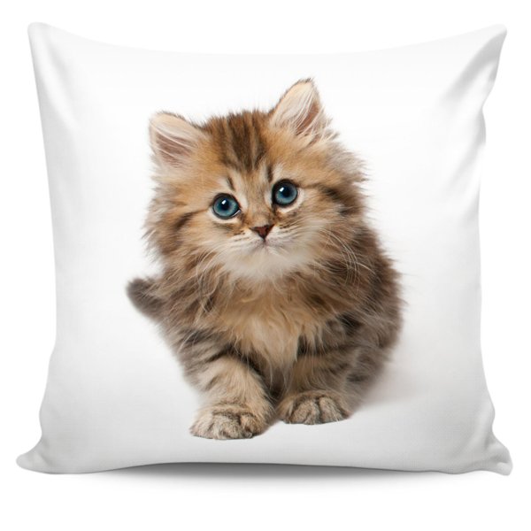 наволочка кошки