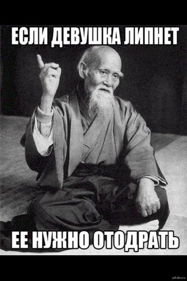 морихей уэсиба мемы