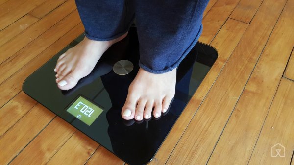 весы большие