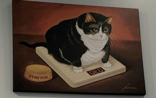 лоуэлл эрреро  коровы