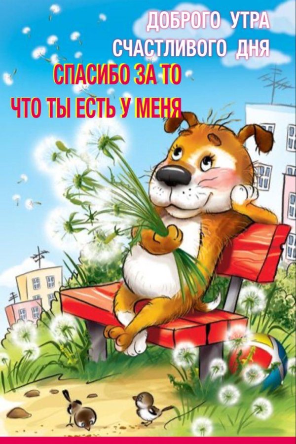 поздравительная открытка