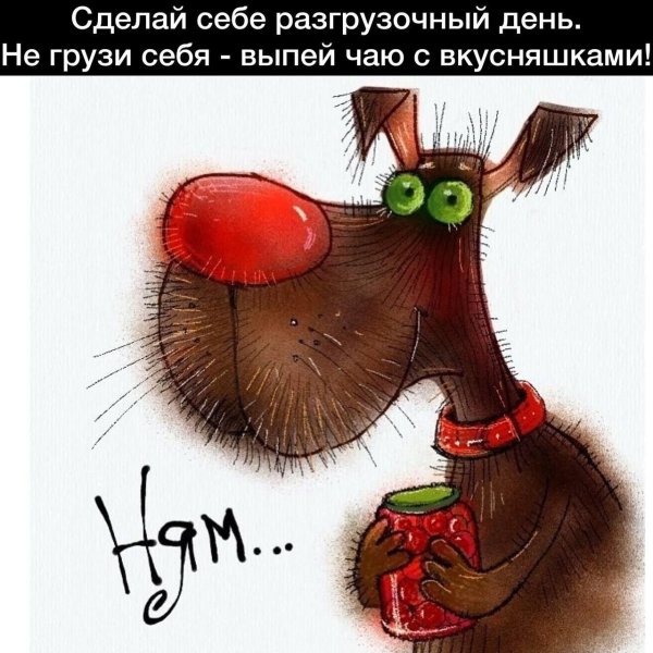 веселые высказывания