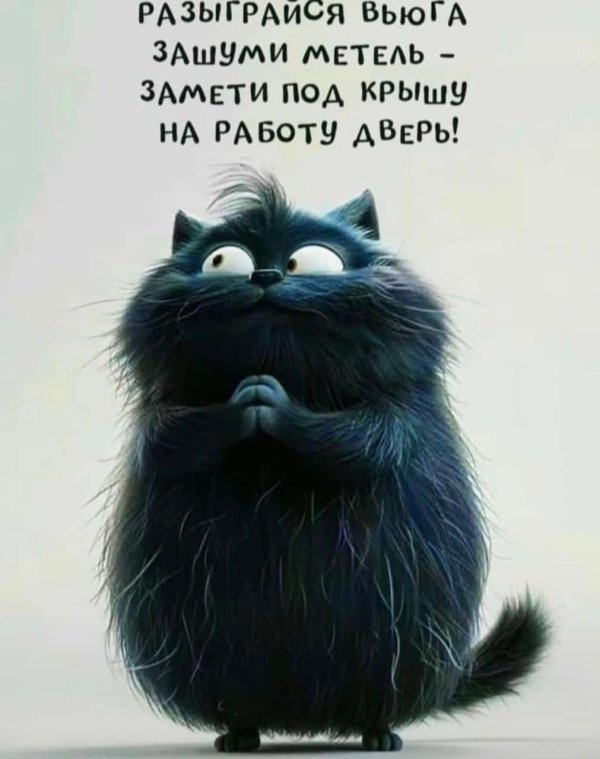 иллюстрация кот