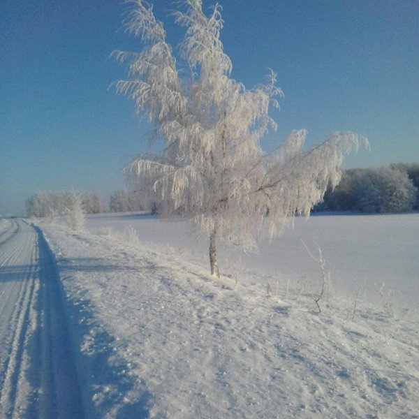 Мороз и солнце день чудесный
