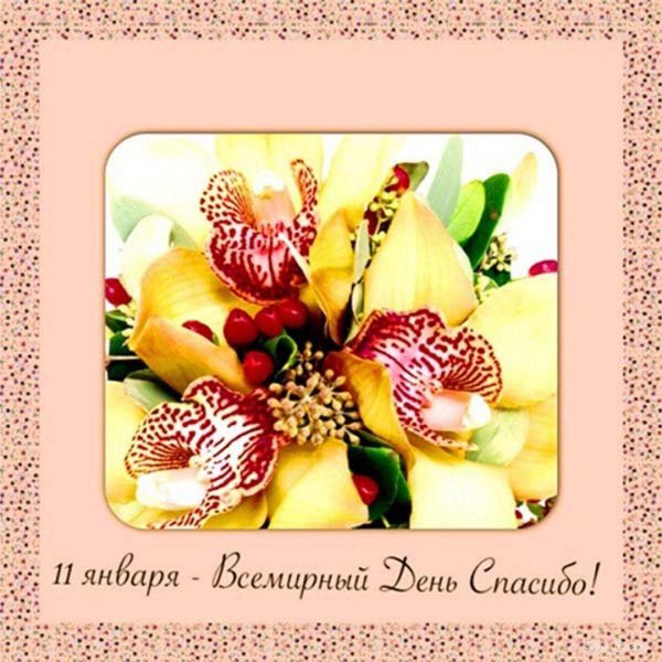 день спасибо