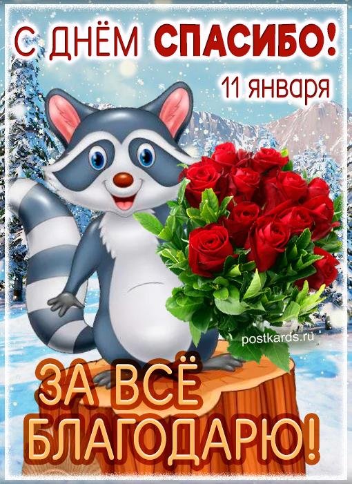 енот для детей