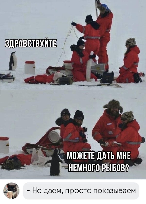 полярники в антарктиде