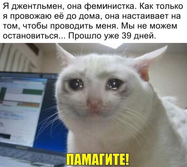 День осуществления мечты 13 января