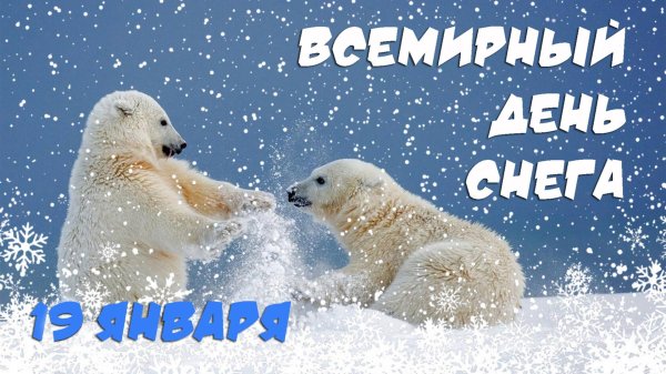 27 февраля международный день белого медведя