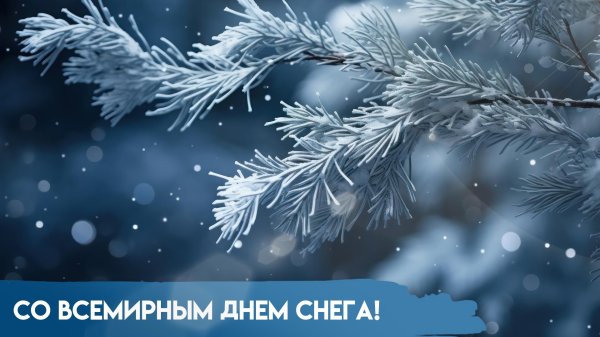 снежинки зима