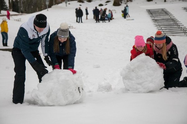 снежный ком