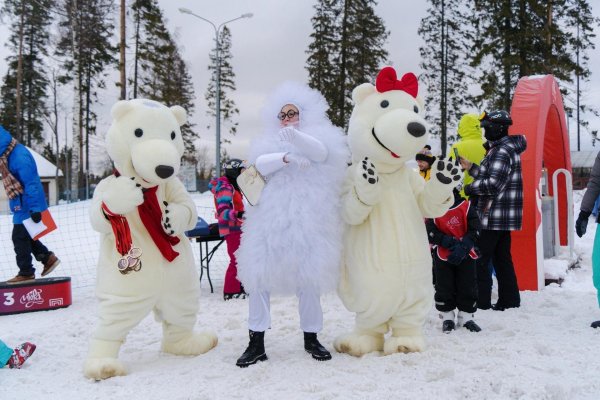 ростовой медведь