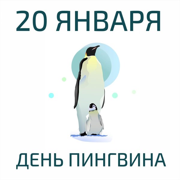 День обучения танцам пингвинов 10 января