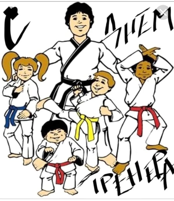 каратэ киокушинкай дети