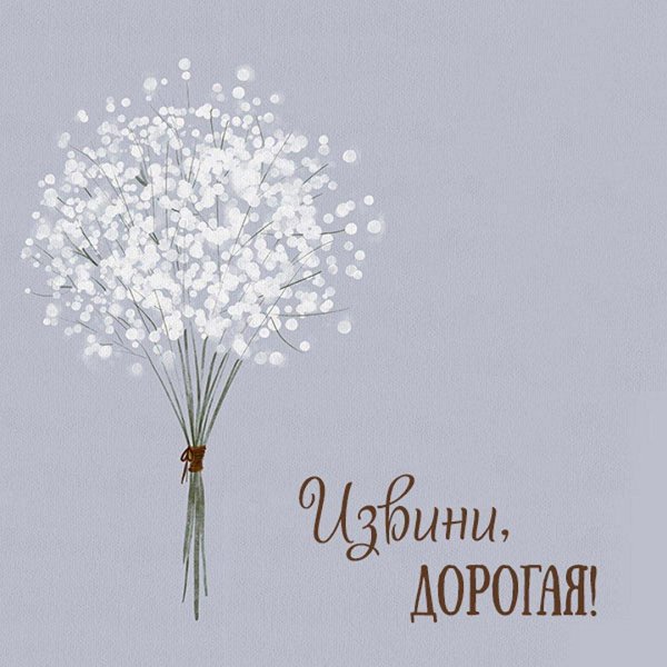 белая гипсофила