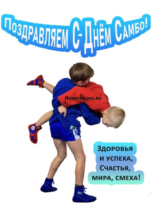 всероссийский день самбо