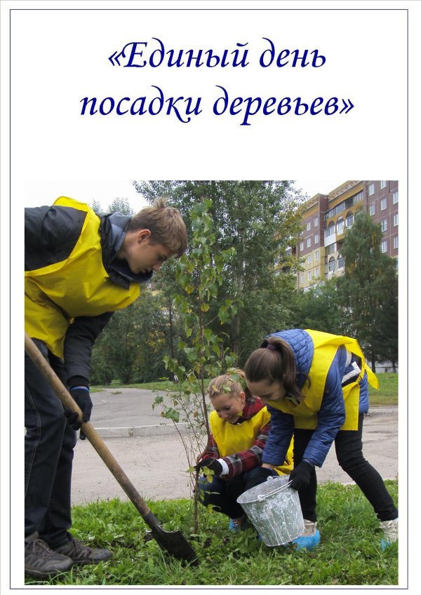 День посадки внутреннего дерева 12 января
