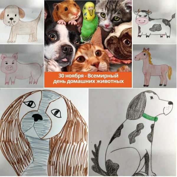 30 ноября день домашних животных