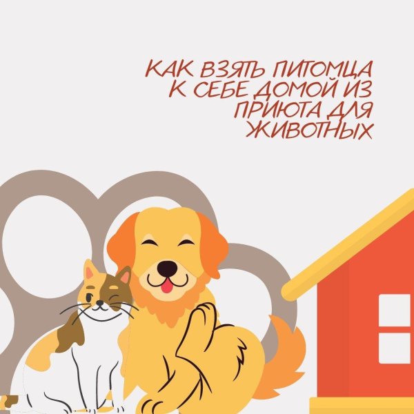 всемирный день домашних животных