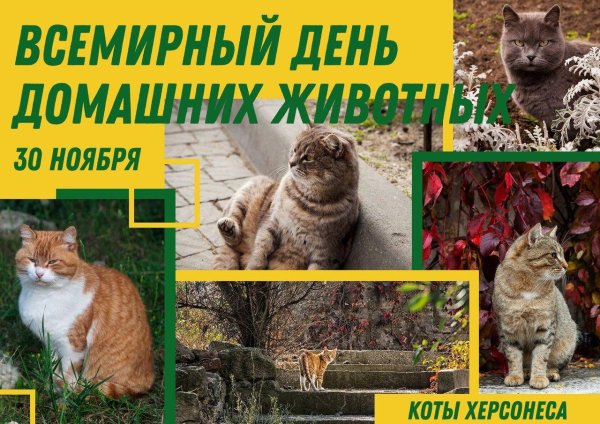 день домашних животных 30 ноября