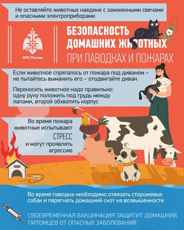 день домашних животных