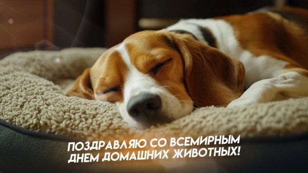 всемирный день домашних животных 2024 году