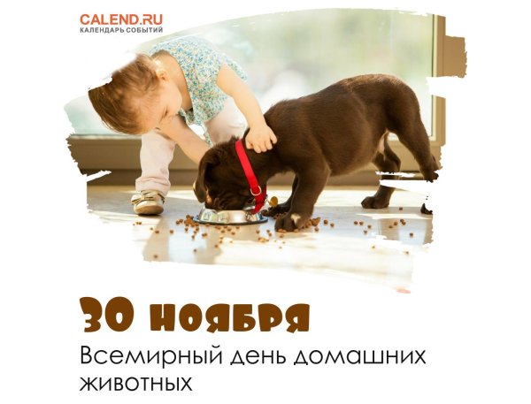 30 ноября день домашних животных