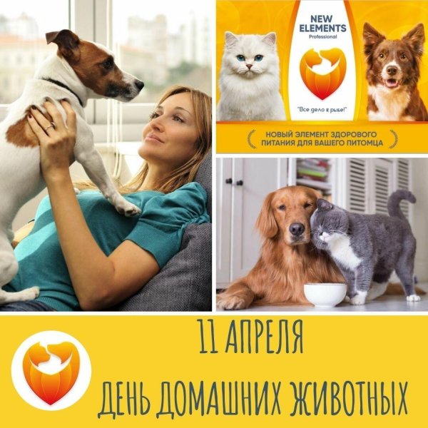 день домашних животных 11 апреля 2021