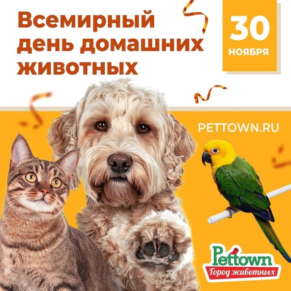 30 ноября день домашних животных