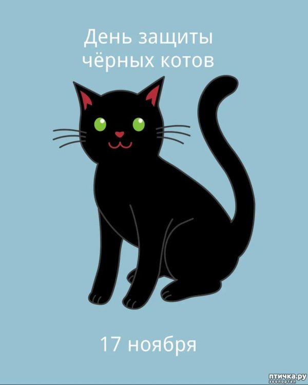 день черного кота