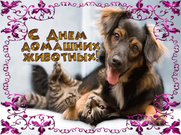 день домашних животных 30 ноября