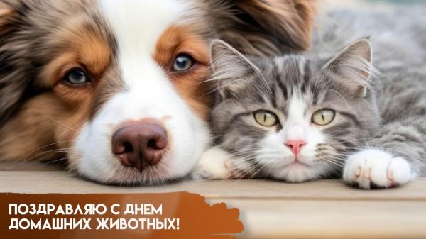 30 ноября день домашних животных