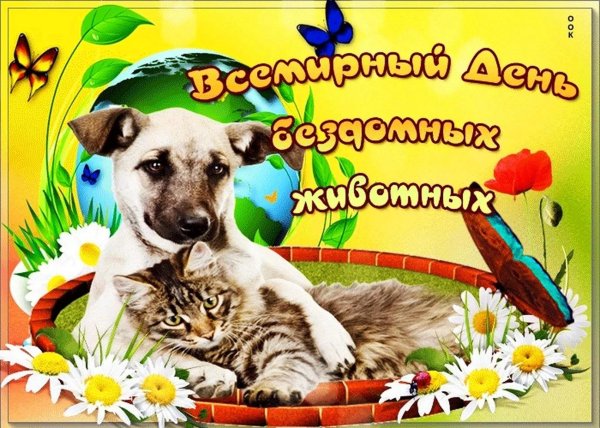 день животных 4 октября