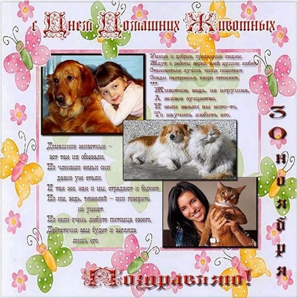 золотистый ретривер нянька