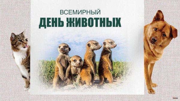 4 октября международный день защиты животных