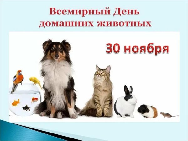 День домашних животных