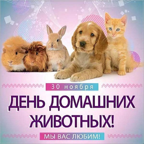 день домашних животных