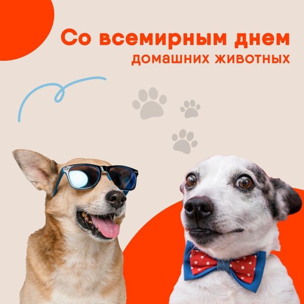 день домашних животных