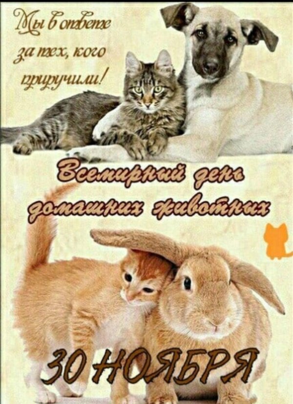 день домашних животных 30 ноября