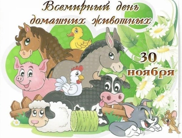 30 ноября день домашних животных