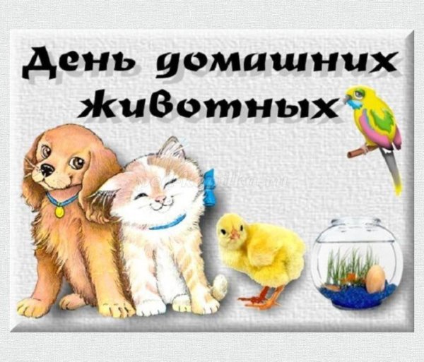 день домашних животных