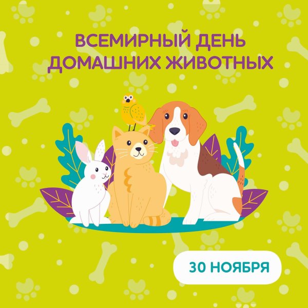 всемирный день домашних животных