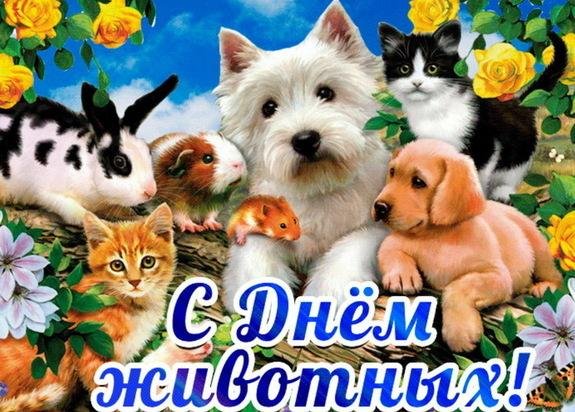 30 ноября день домашних животных